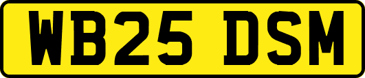 WB25DSM