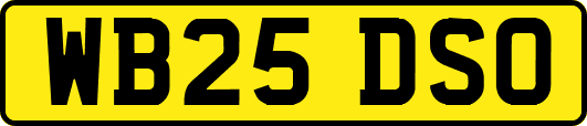 WB25DSO