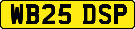 WB25DSP