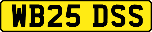 WB25DSS
