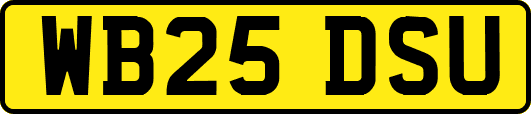 WB25DSU