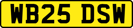 WB25DSW