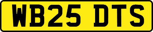WB25DTS