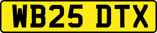 WB25DTX