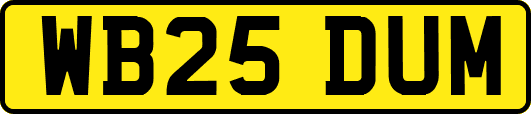 WB25DUM