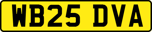 WB25DVA