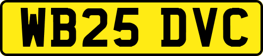 WB25DVC