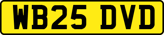 WB25DVD