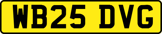 WB25DVG