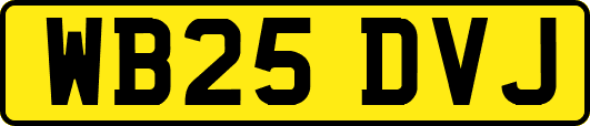 WB25DVJ