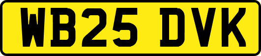 WB25DVK