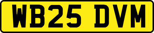WB25DVM