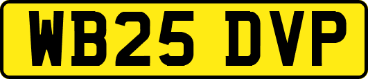 WB25DVP