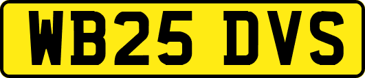 WB25DVS