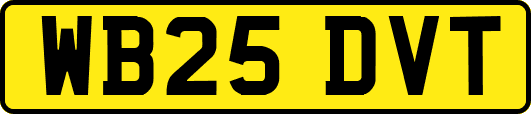 WB25DVT