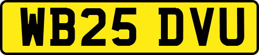 WB25DVU