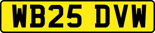 WB25DVW