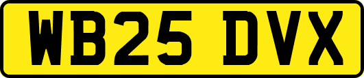 WB25DVX