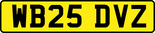 WB25DVZ