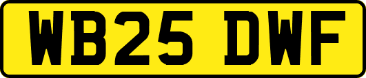 WB25DWF