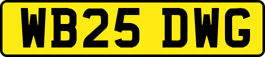 WB25DWG