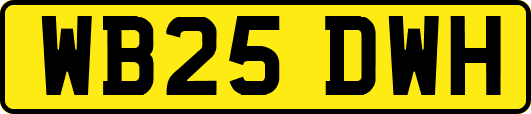 WB25DWH