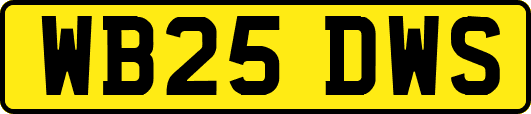 WB25DWS