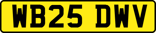 WB25DWV