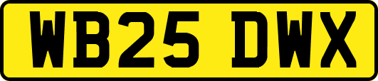WB25DWX