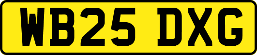 WB25DXG
