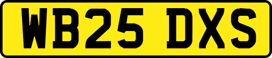WB25DXS