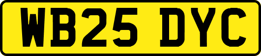 WB25DYC