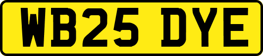 WB25DYE