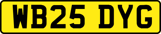 WB25DYG
