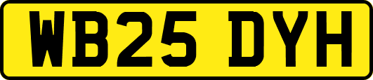 WB25DYH
