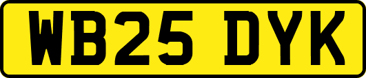 WB25DYK