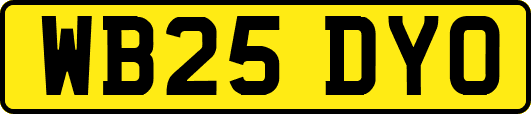 WB25DYO