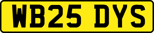 WB25DYS