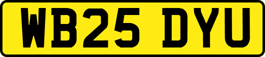 WB25DYU