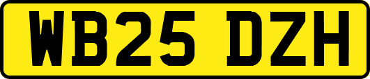 WB25DZH