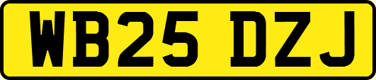 WB25DZJ