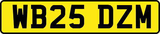 WB25DZM