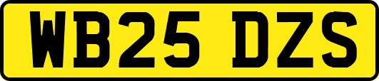 WB25DZS