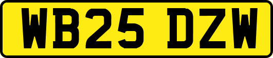 WB25DZW
