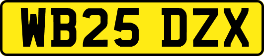WB25DZX