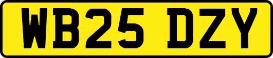 WB25DZY