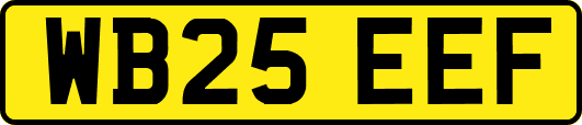 WB25EEF