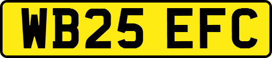 WB25EFC