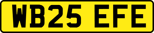 WB25EFE