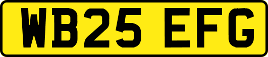 WB25EFG